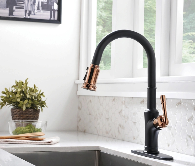 Trustworthy and Long-Lasting Kitchen Faucet